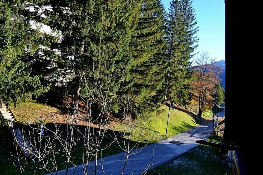 Фото Hotel Serena