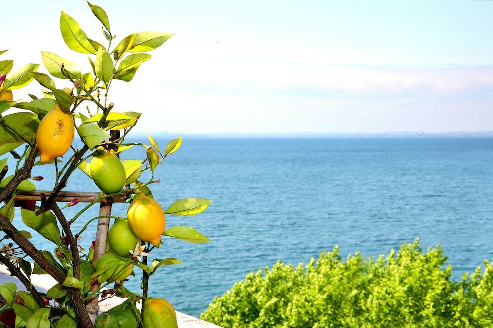 Фото Hotel Kriss Internazionale