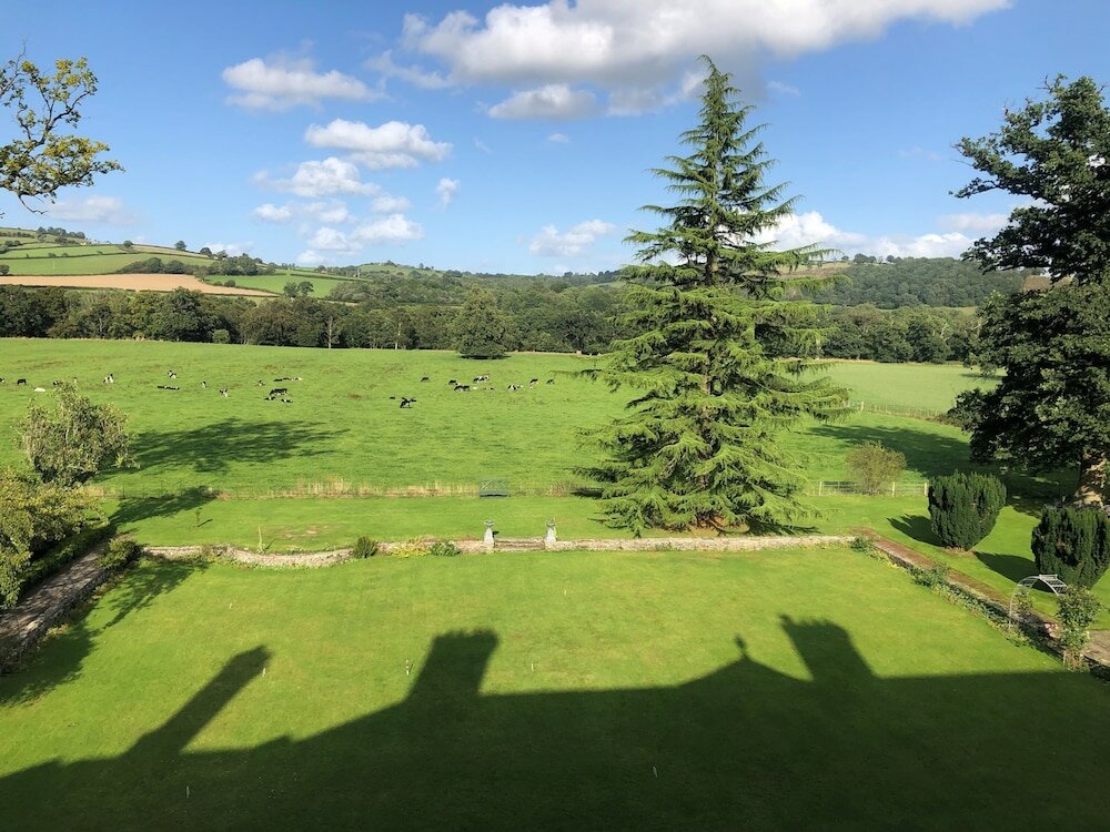 Фото Llangoed Hall