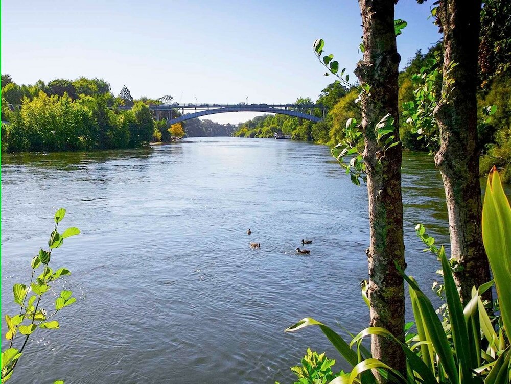 Фото Novotel Hamilton Tainui