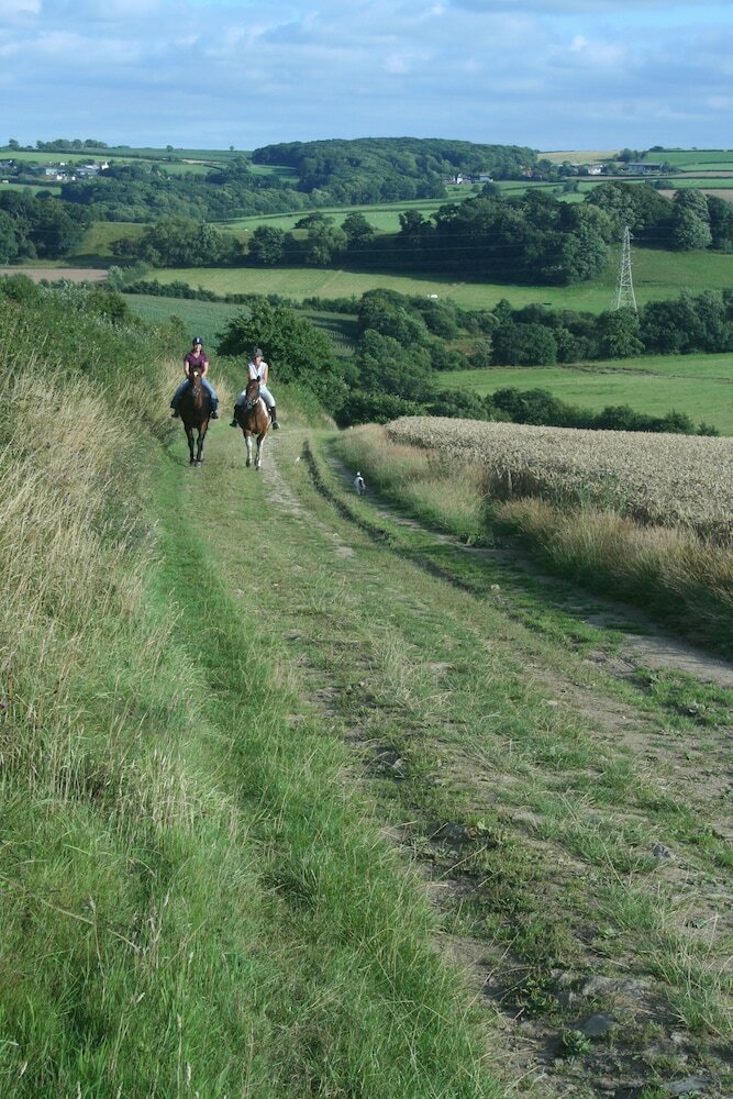 Фото Hollamoor Farm B&b