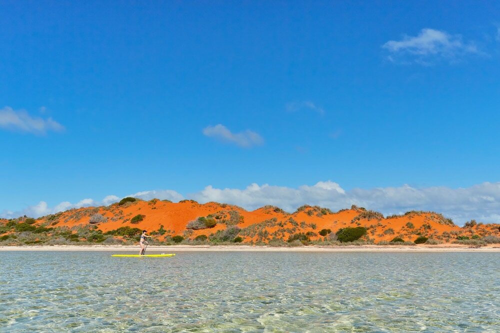 Фото Rac Monkey Mia Dolphin Resort