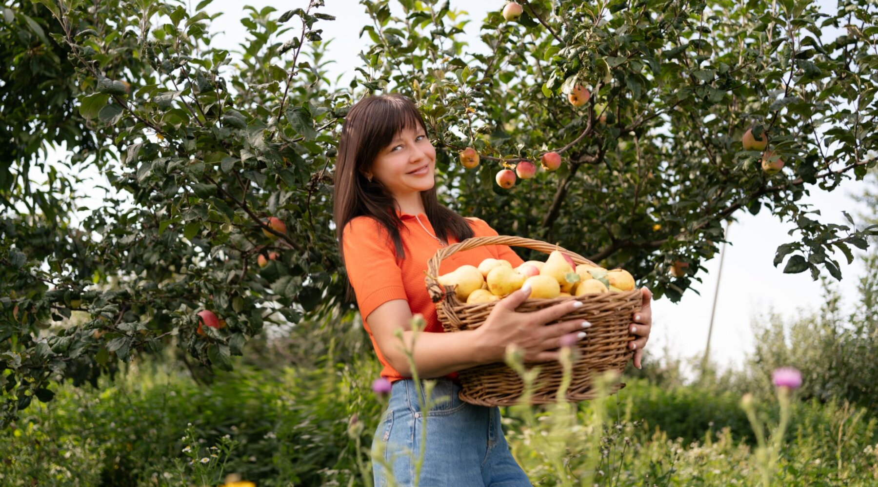 Фото Курский соловей
