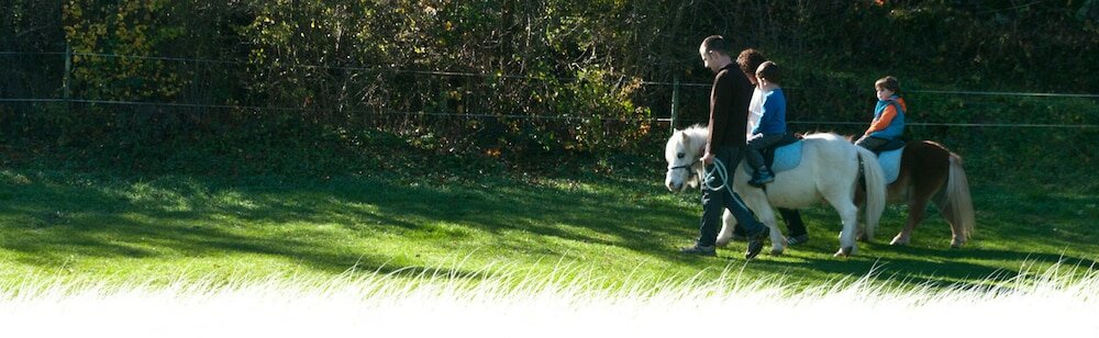 Фото Hotel El Acebo