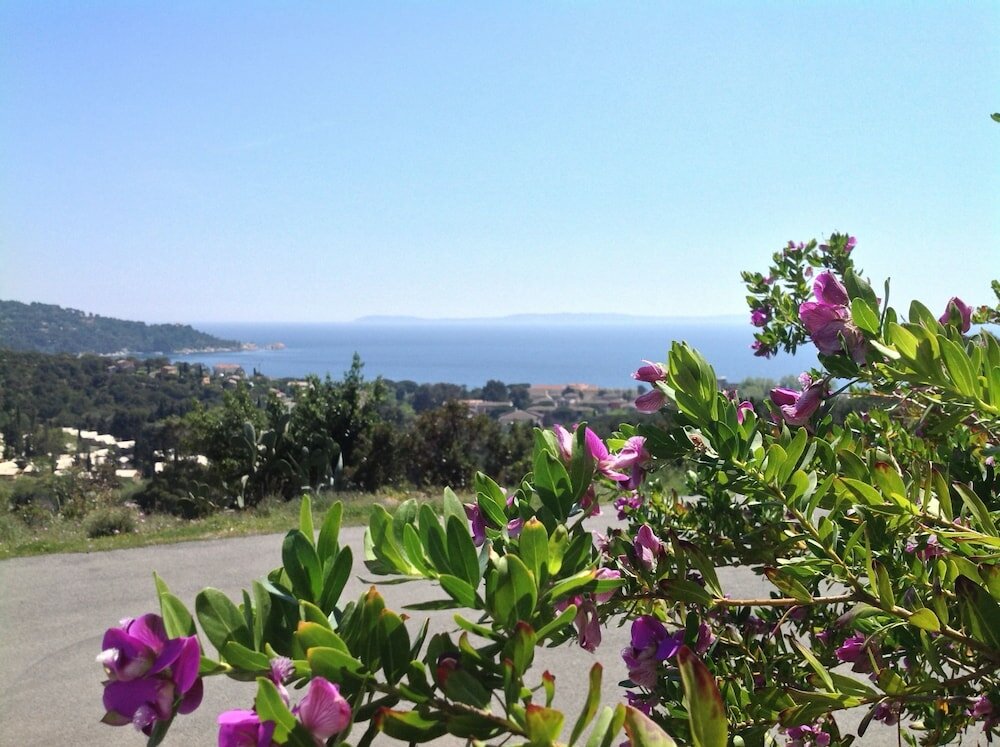 Фото 239591915500