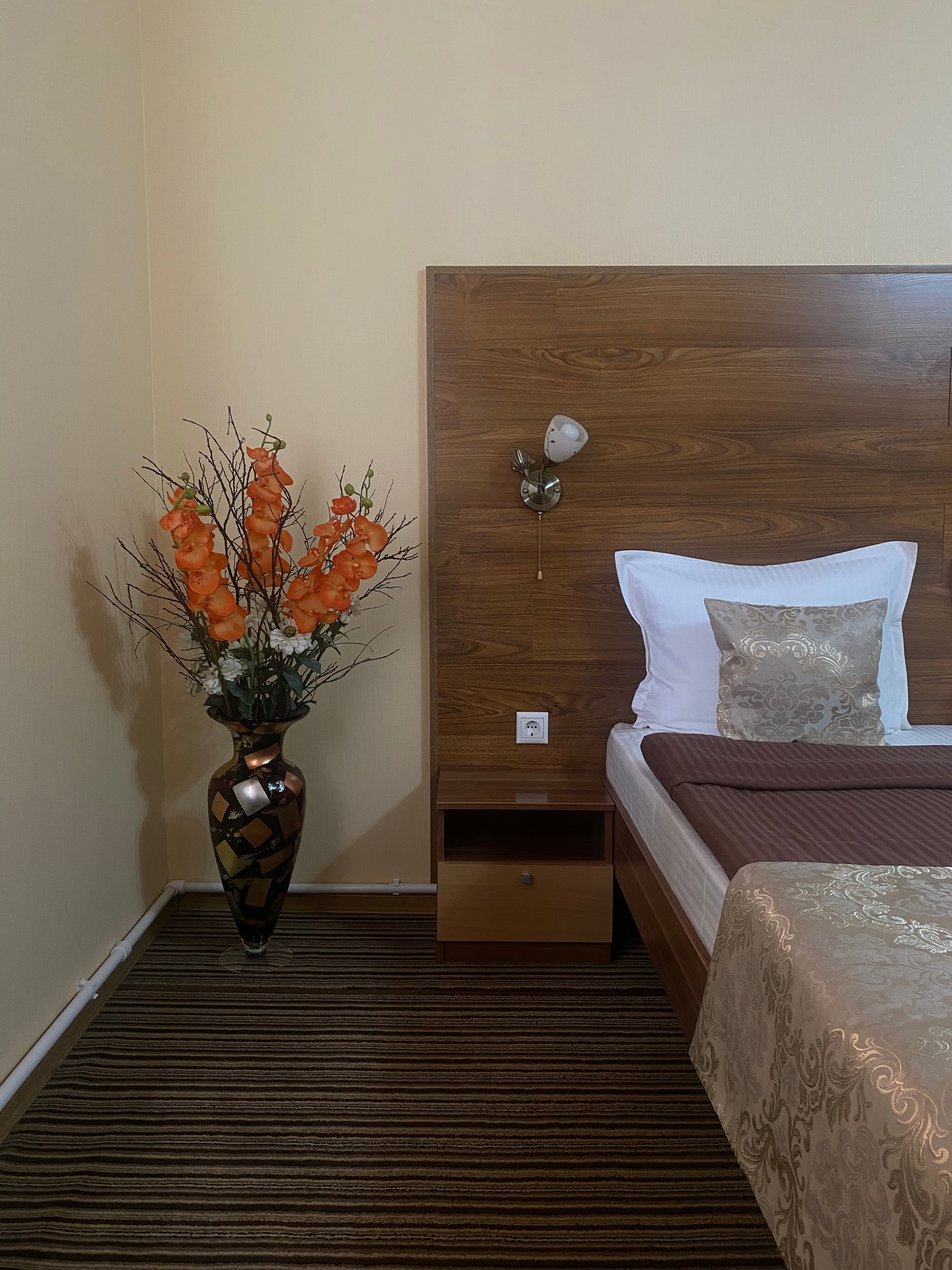 Фото Метелица