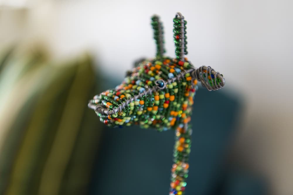 Фото Kunjani Cottages