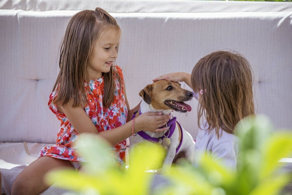 Фото Skiathos Princess Resort