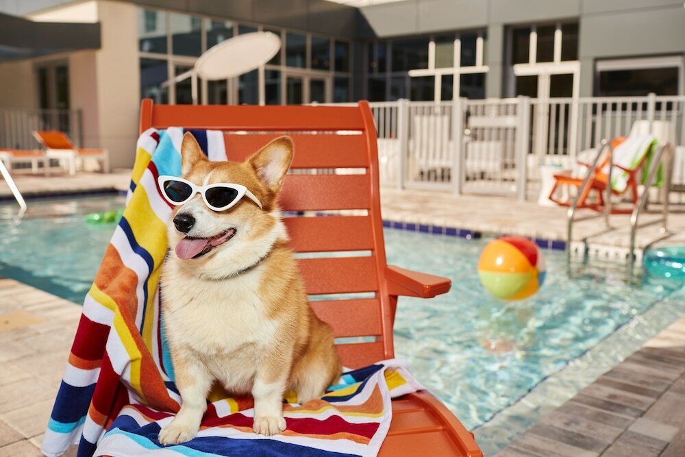 Фото Aloft Austin Round Rock