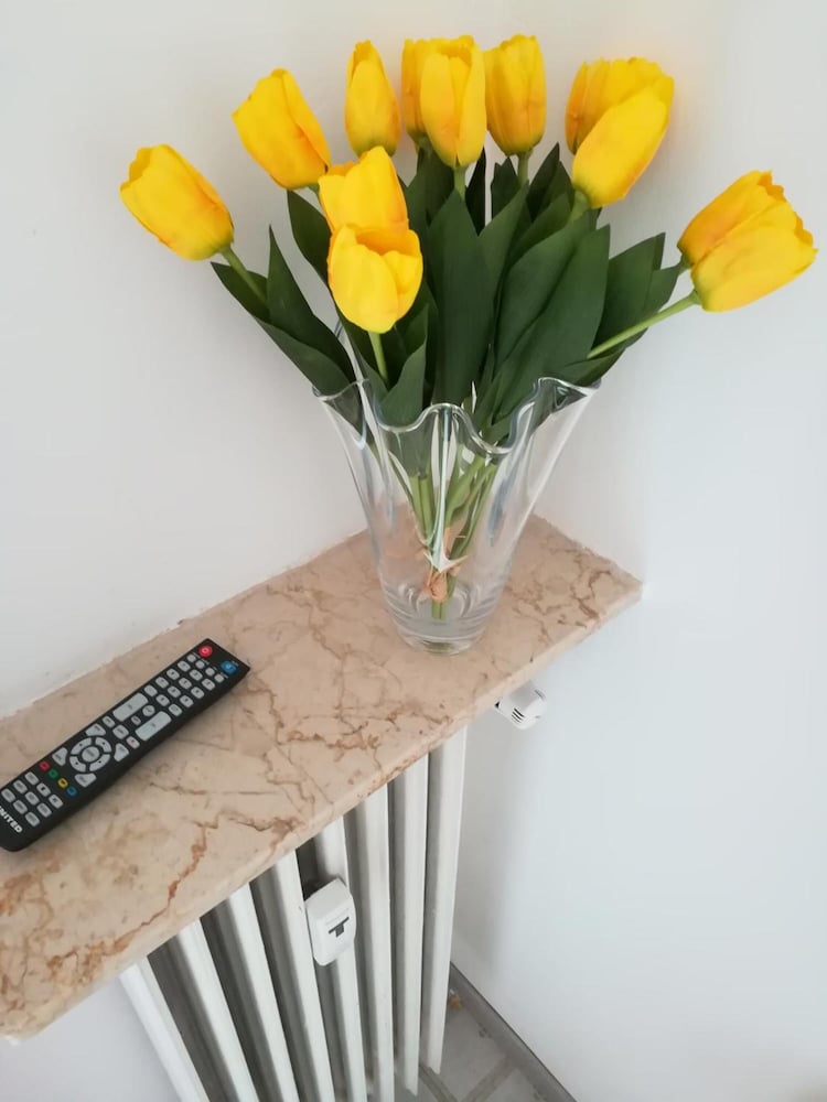 Фото Venice Vacation House