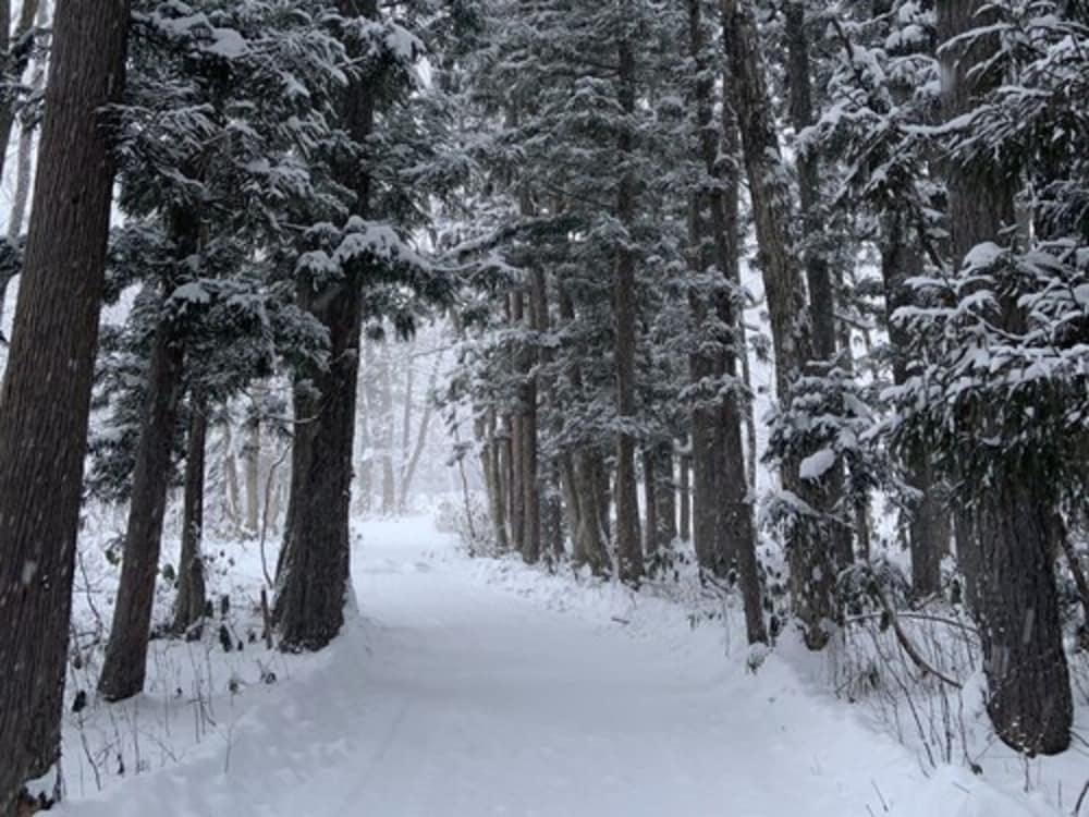 Фото Fuku Chalet