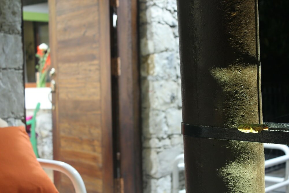 Фото La Casona de Don Porfirio Hotel Boutique