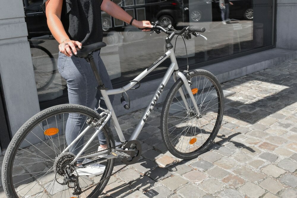 Фото The Royal Snail