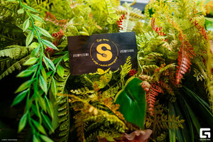 Simple Bar (улица Пушкина, 16), bar, pub