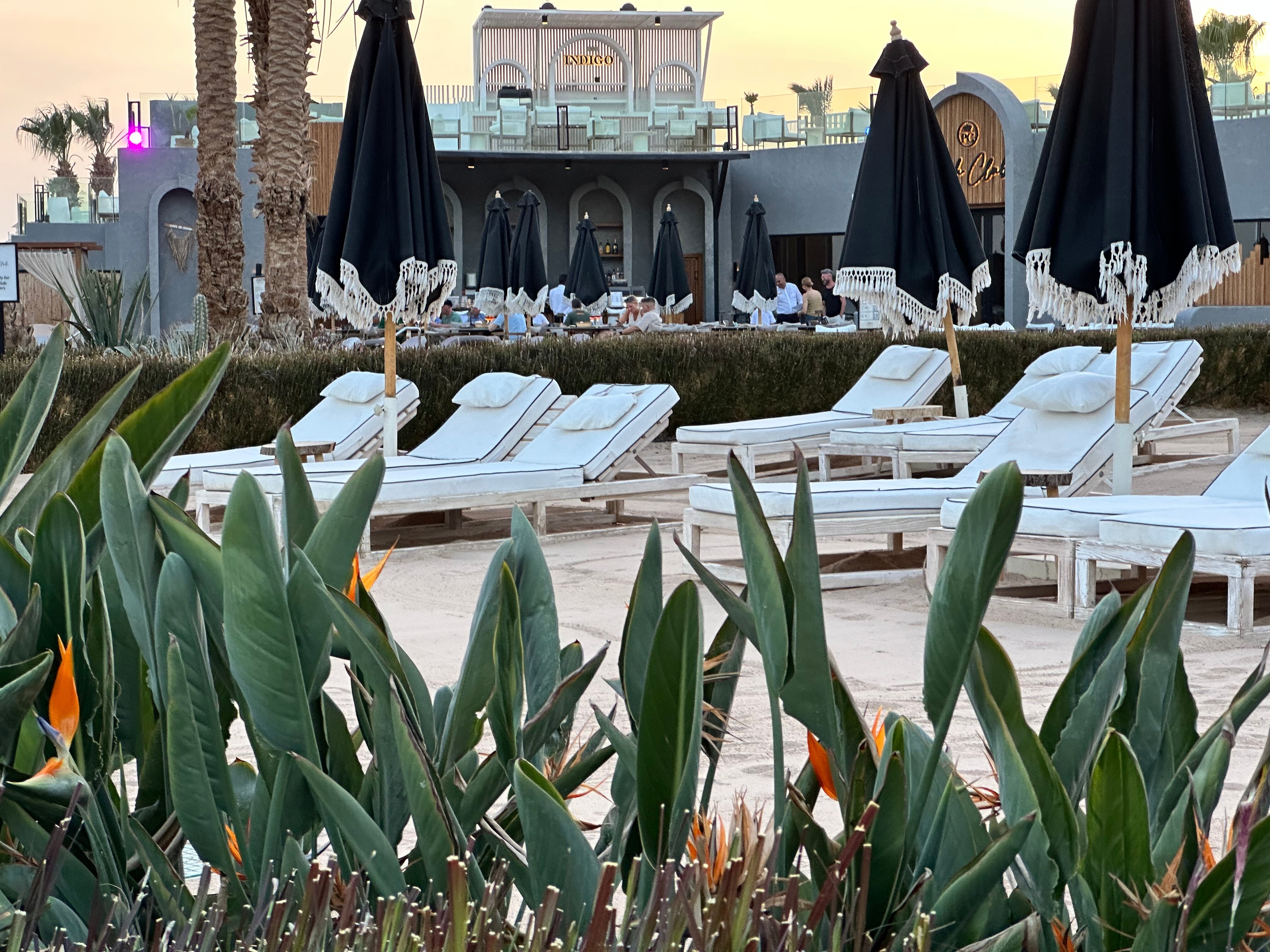 Фото Sunrise Tucana Resort