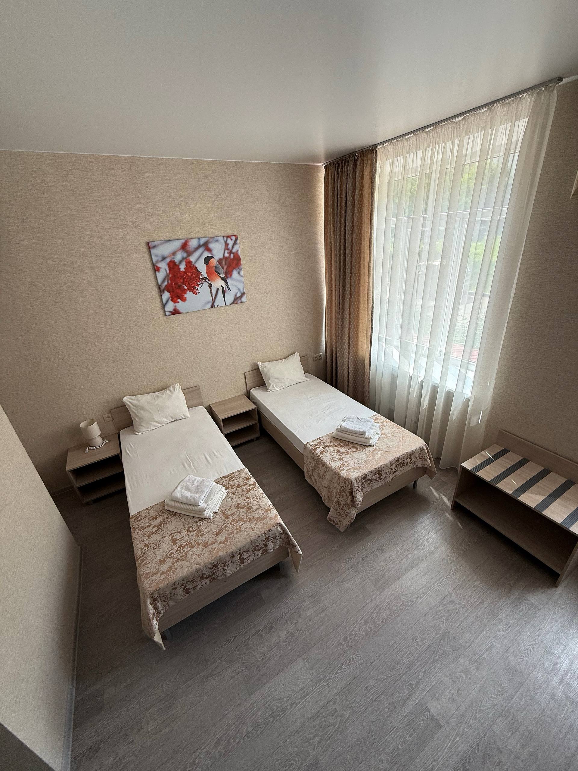 Фото Снегири