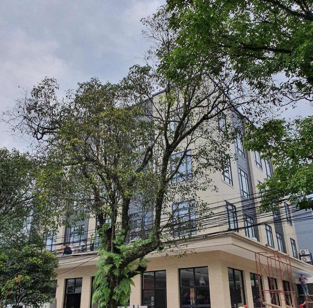 Фото Yokotel City