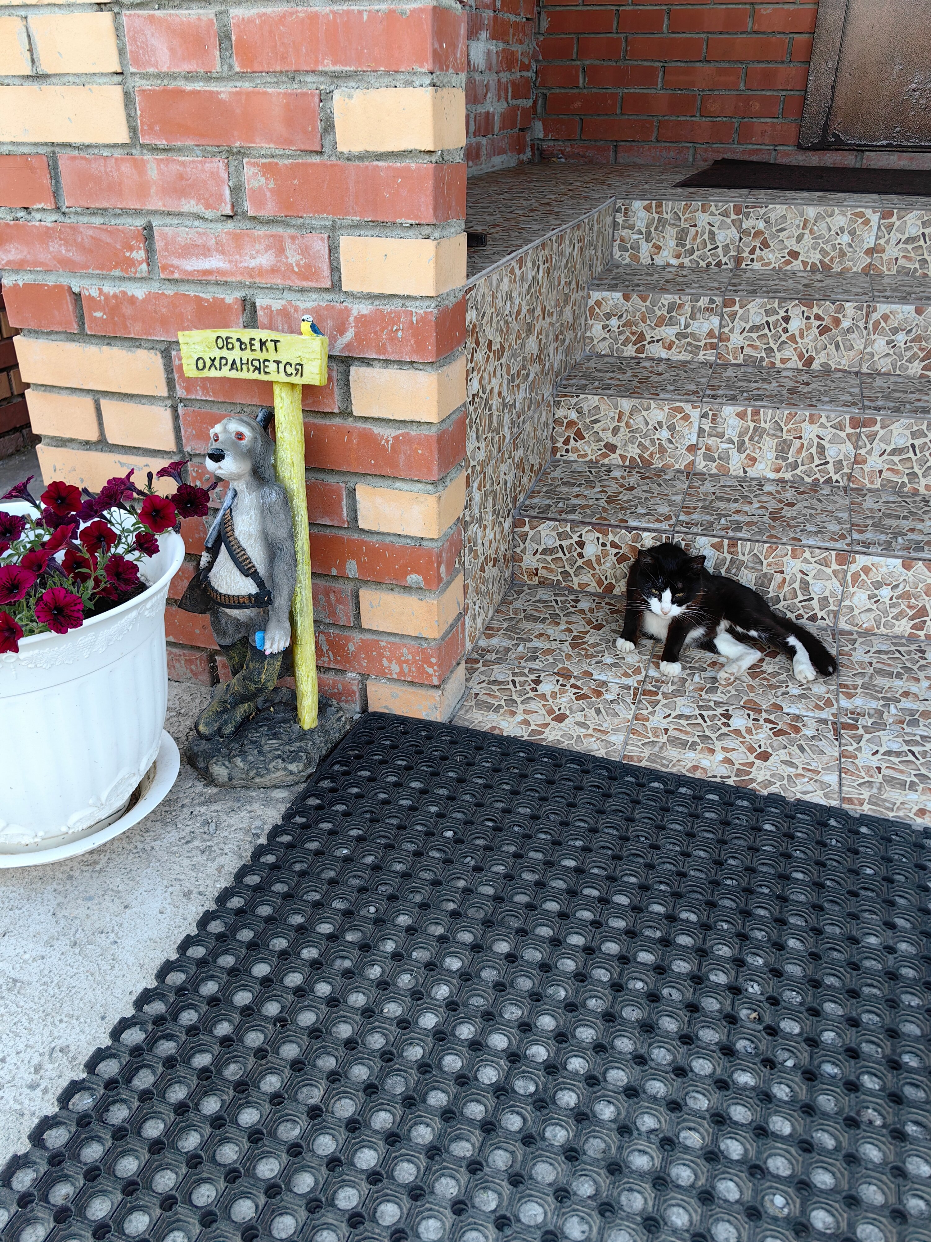 Фото Путник