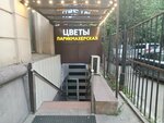 Cvetohniye kanikuly (Leninsky Avenue, 37А) ، محل زهور