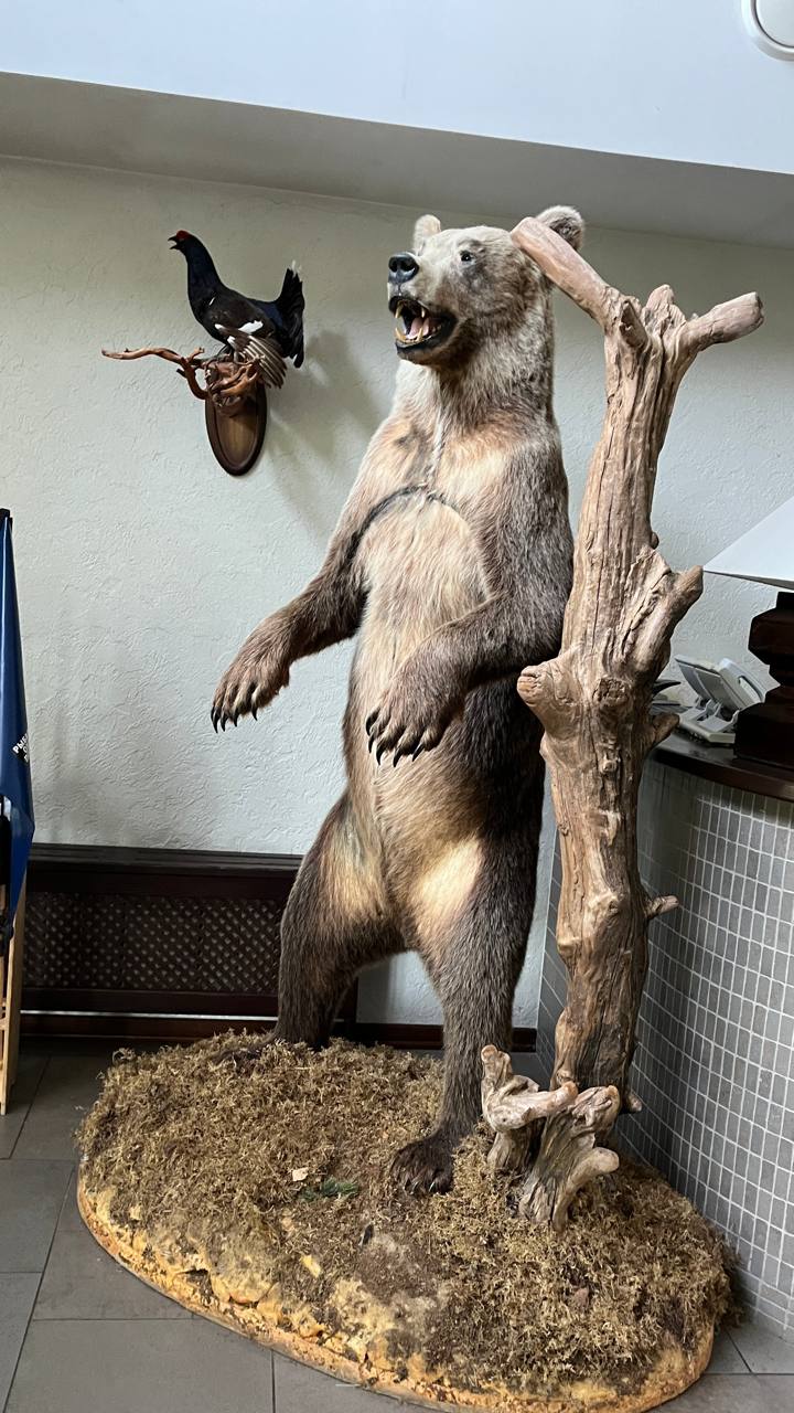 Фото Grand Adventure