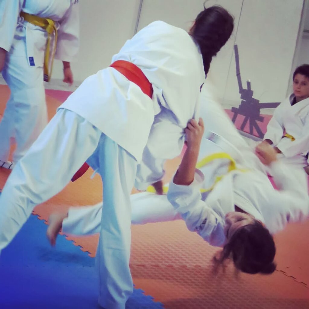 Sports school Efe Aikido, Yelki Aikido School, Guzelbahce, photo