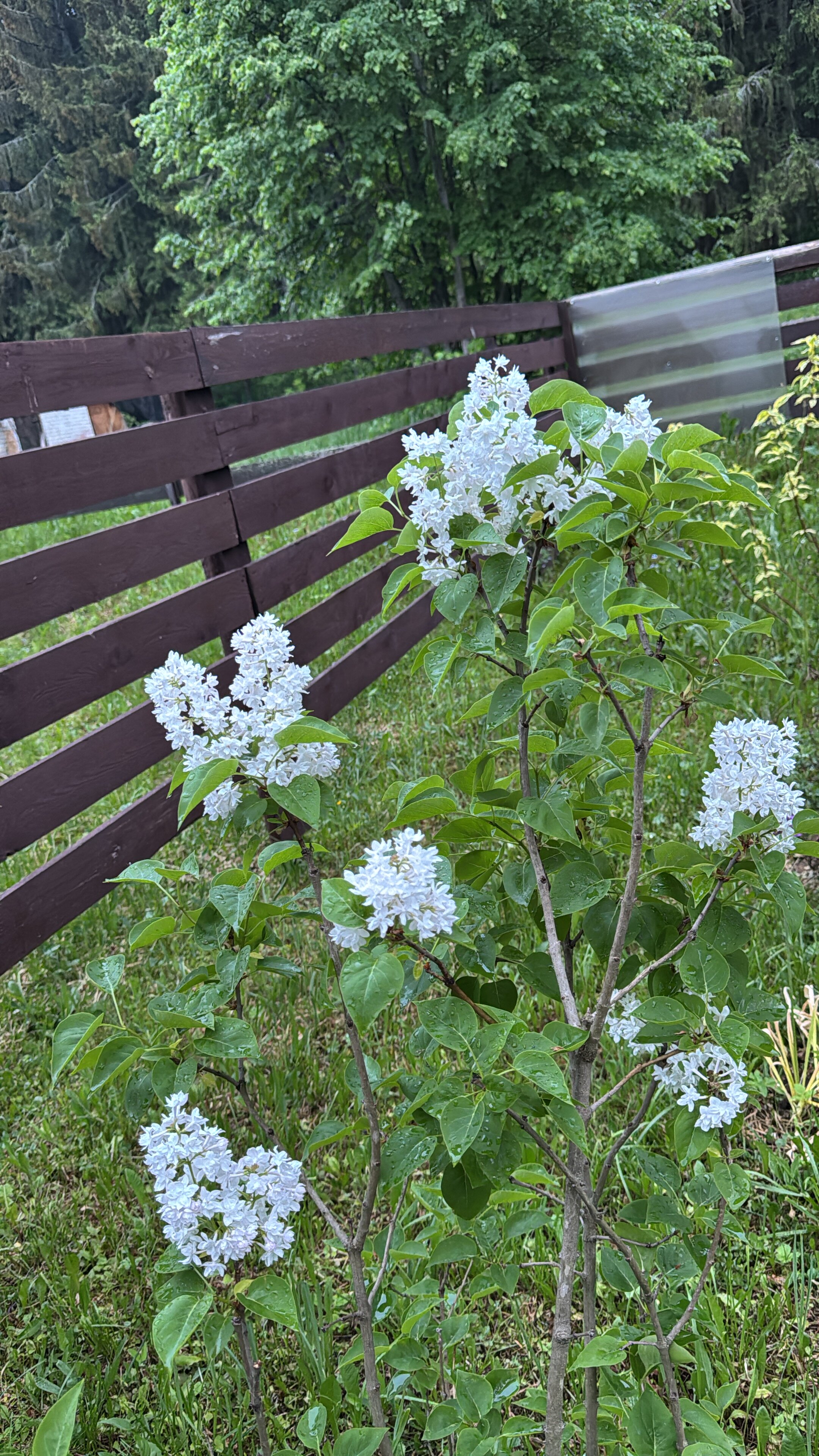 Фото Галерея Левитан