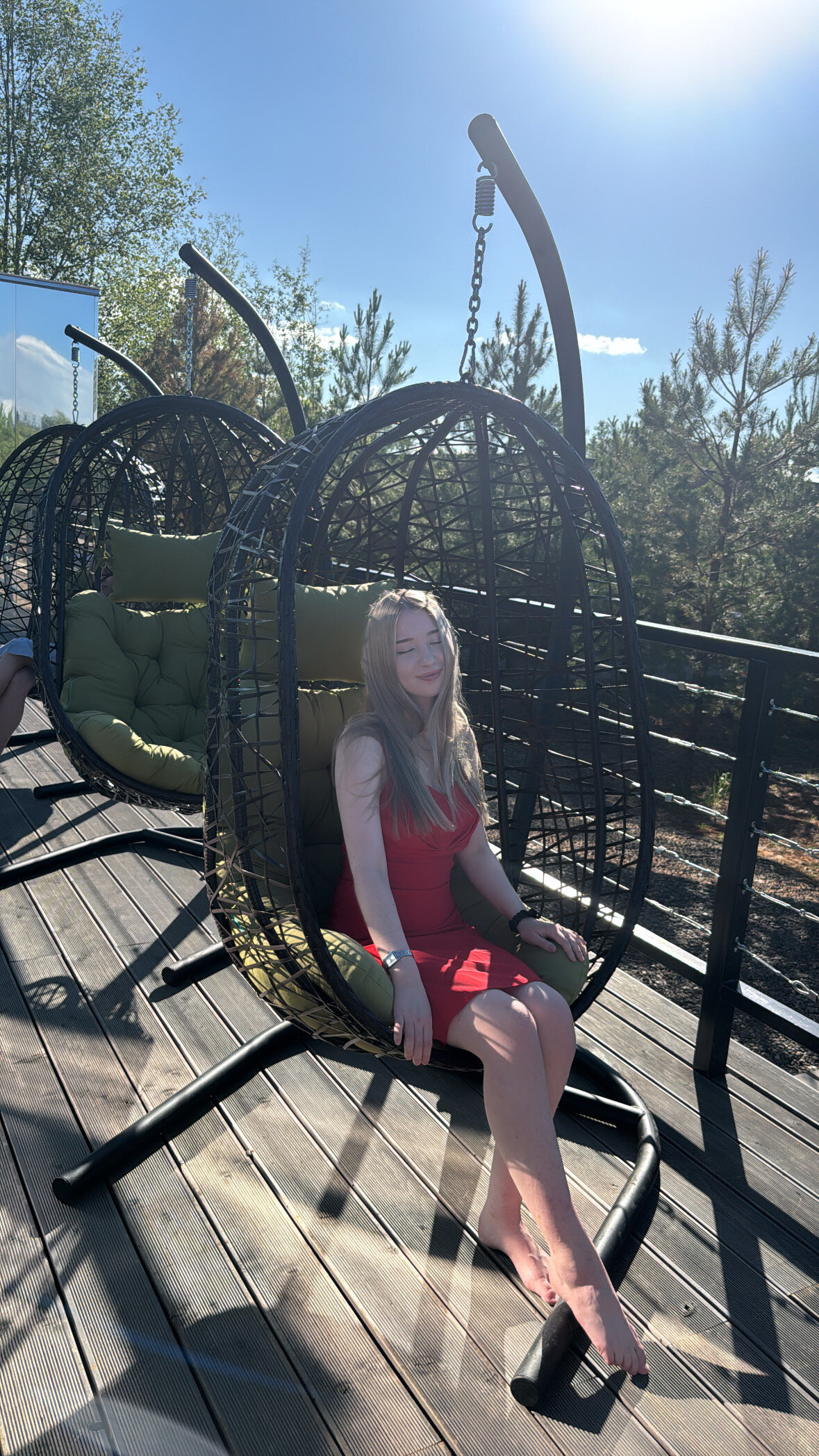 Фото 12 Сосен