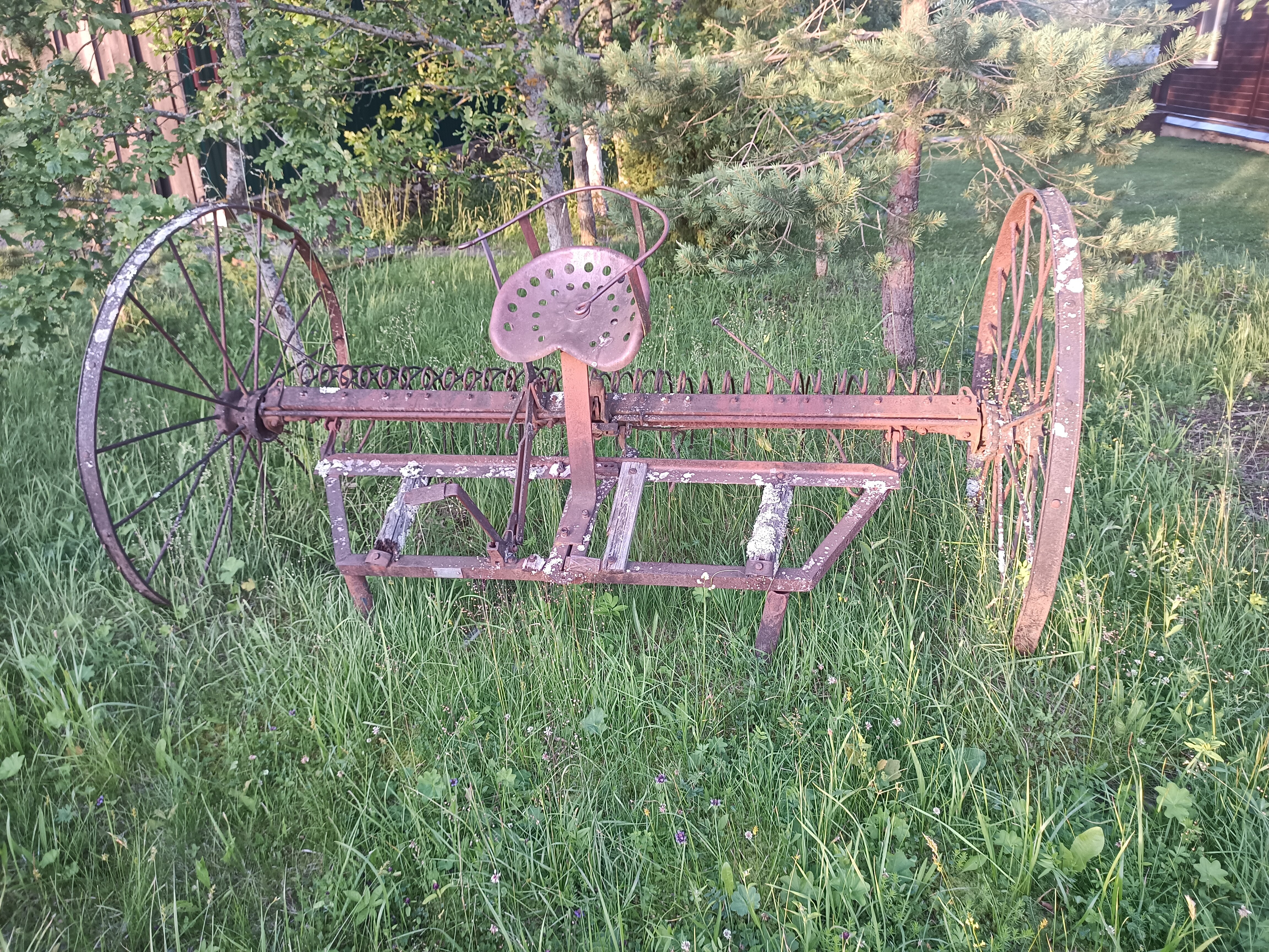 Фото Березовый хутор