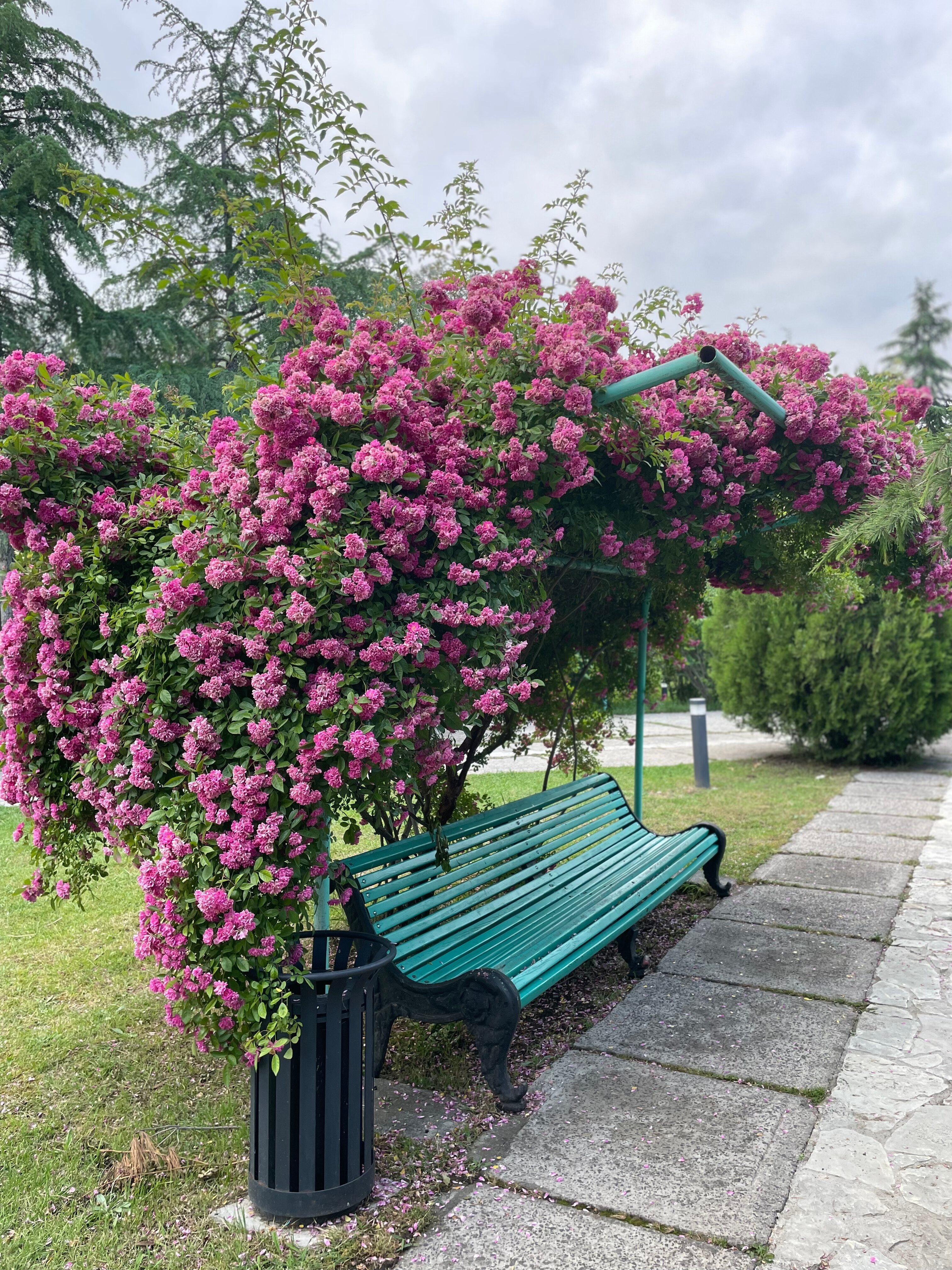 Фото Costa d’Ora