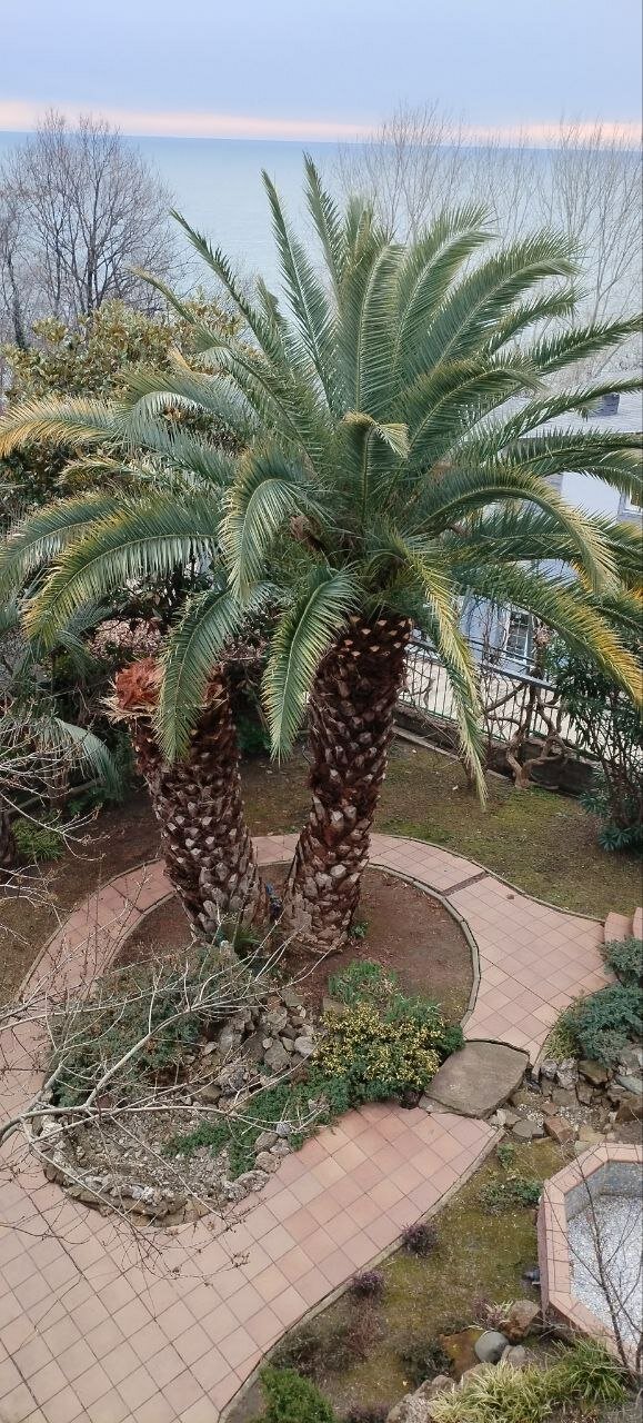 Фото Вилла Мэй