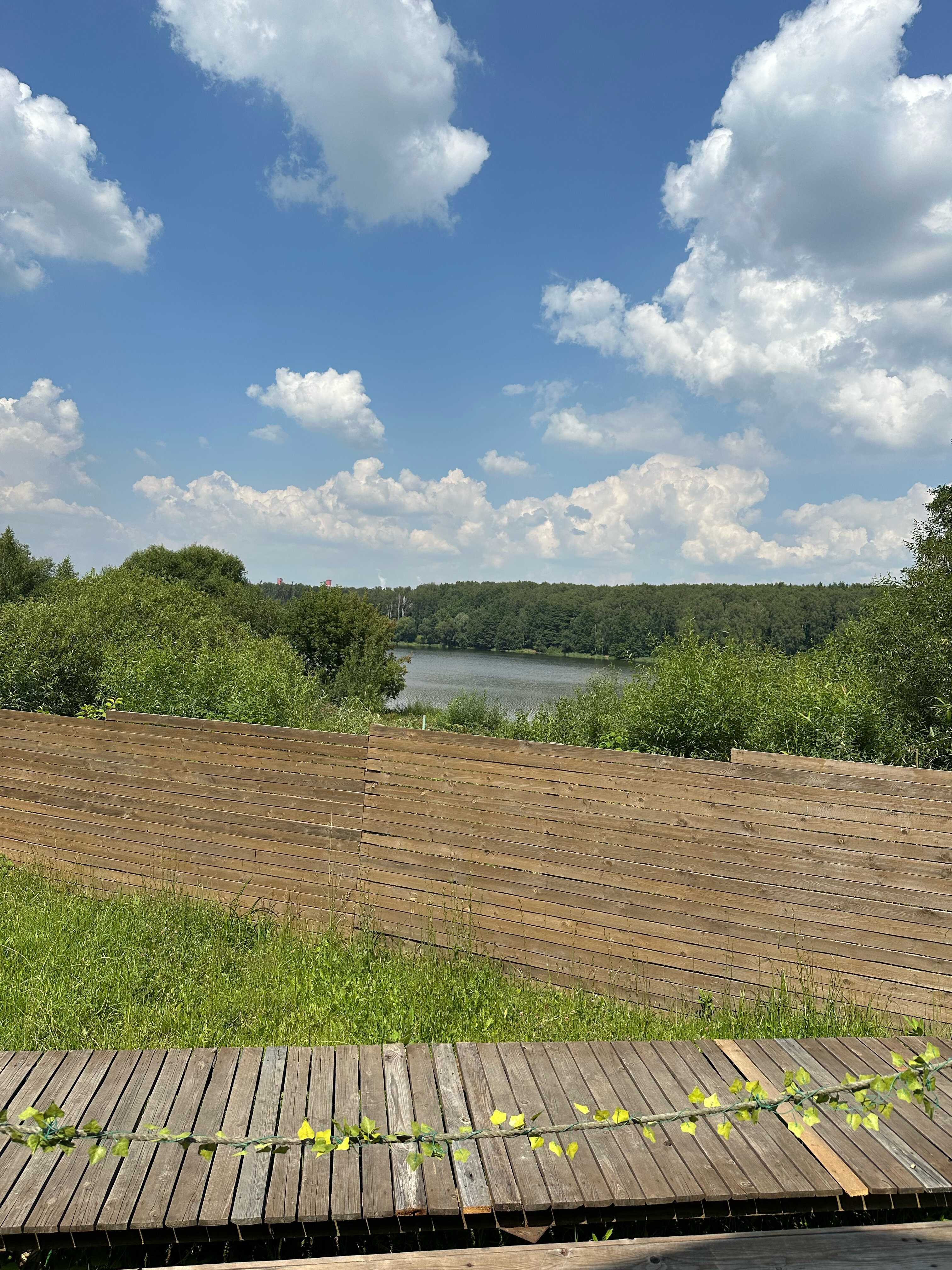 Фото Вилла Битса