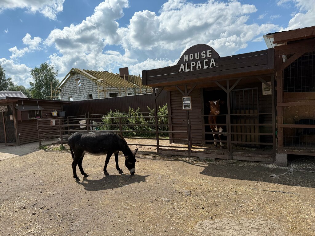 Zoo Авенсис, Saint‑Petersburg and Leningrad Oblast, photo