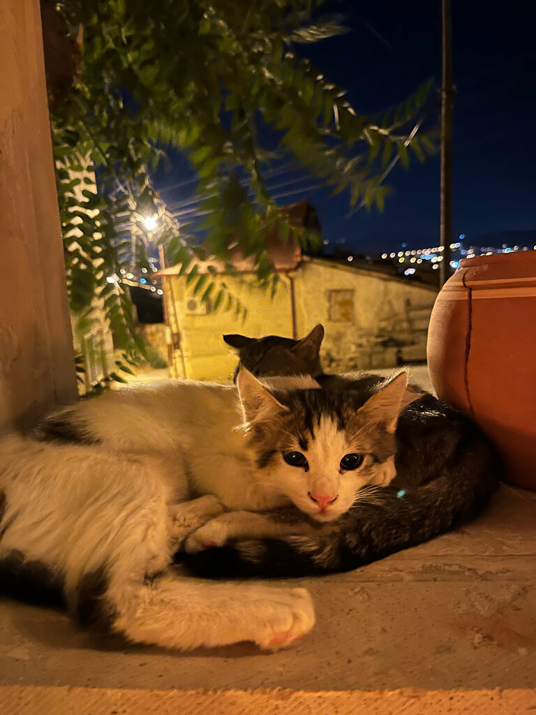Hotel Almula Cave, Avanos, photo