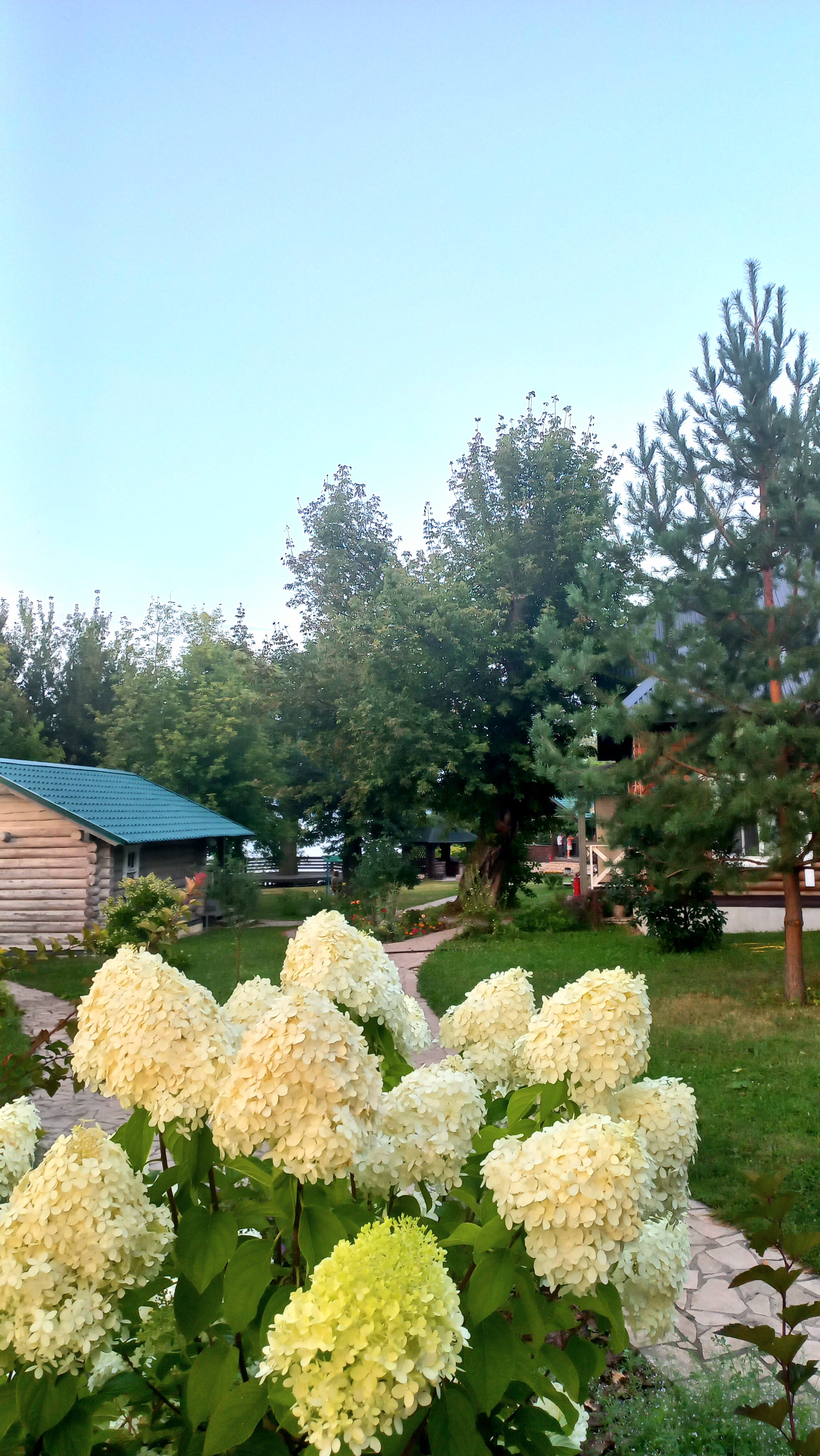 Фото Лукоморие