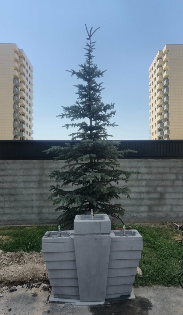 Drinking fountain Drinking fountain, Yerevan, photo