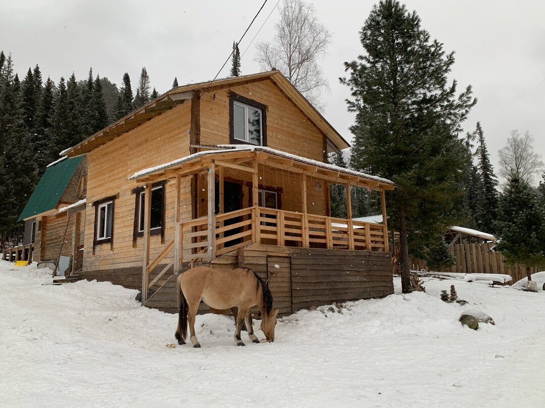 Фото У Петровича