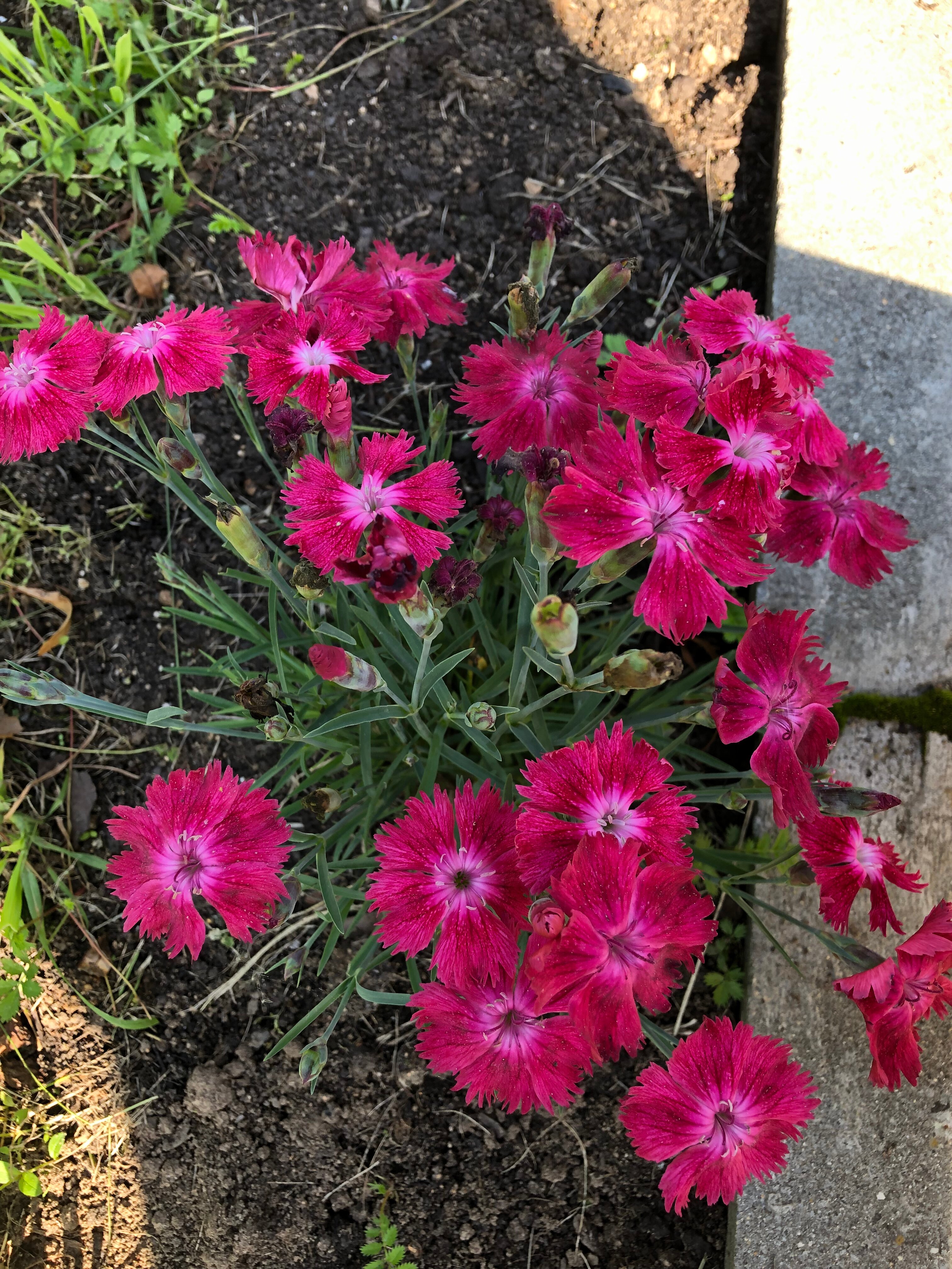 Фото Белый камень