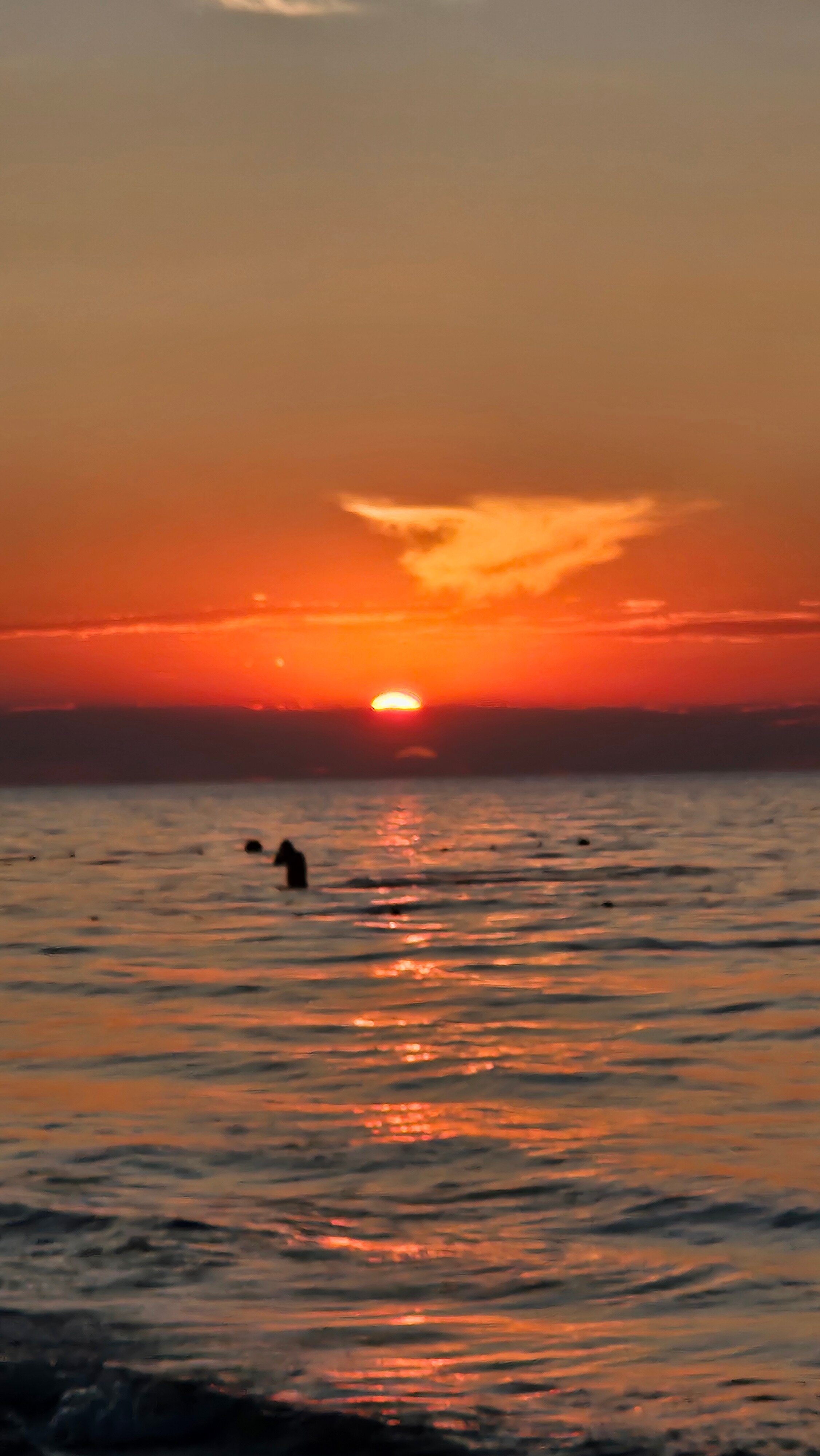 Фото Берег Солнца