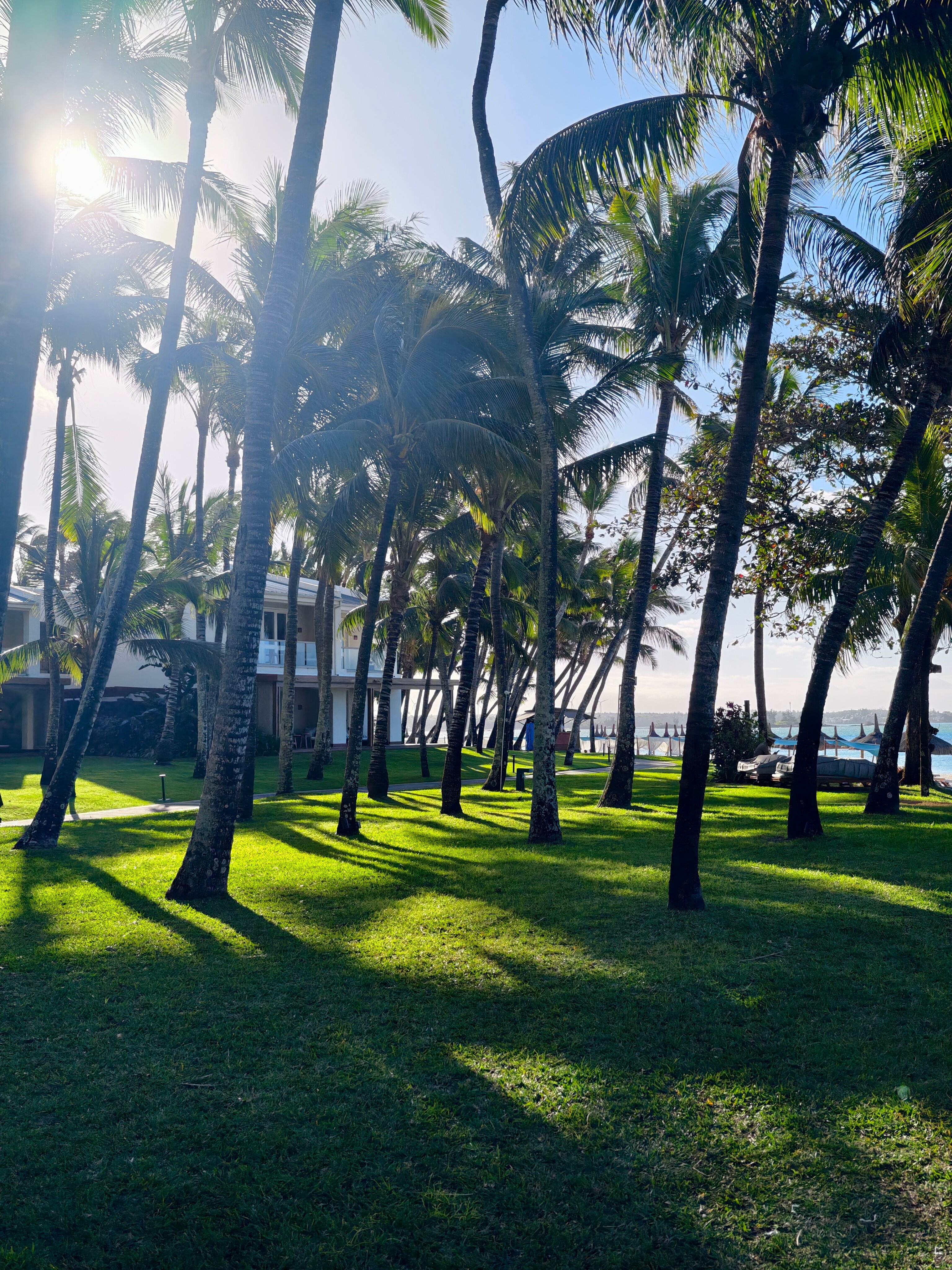 Фото One&Only Le Saint Géran