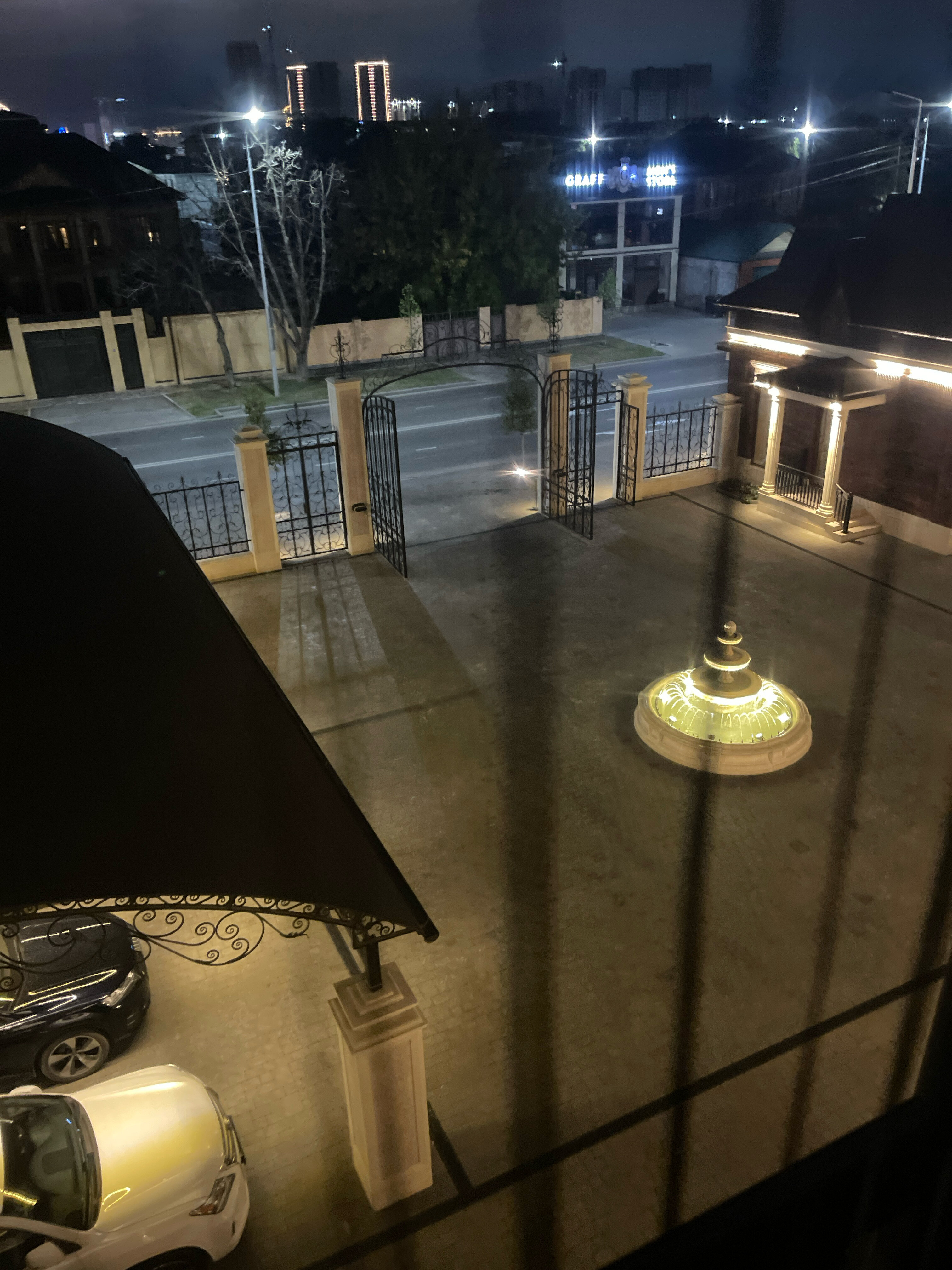 Фото Grozny Palace