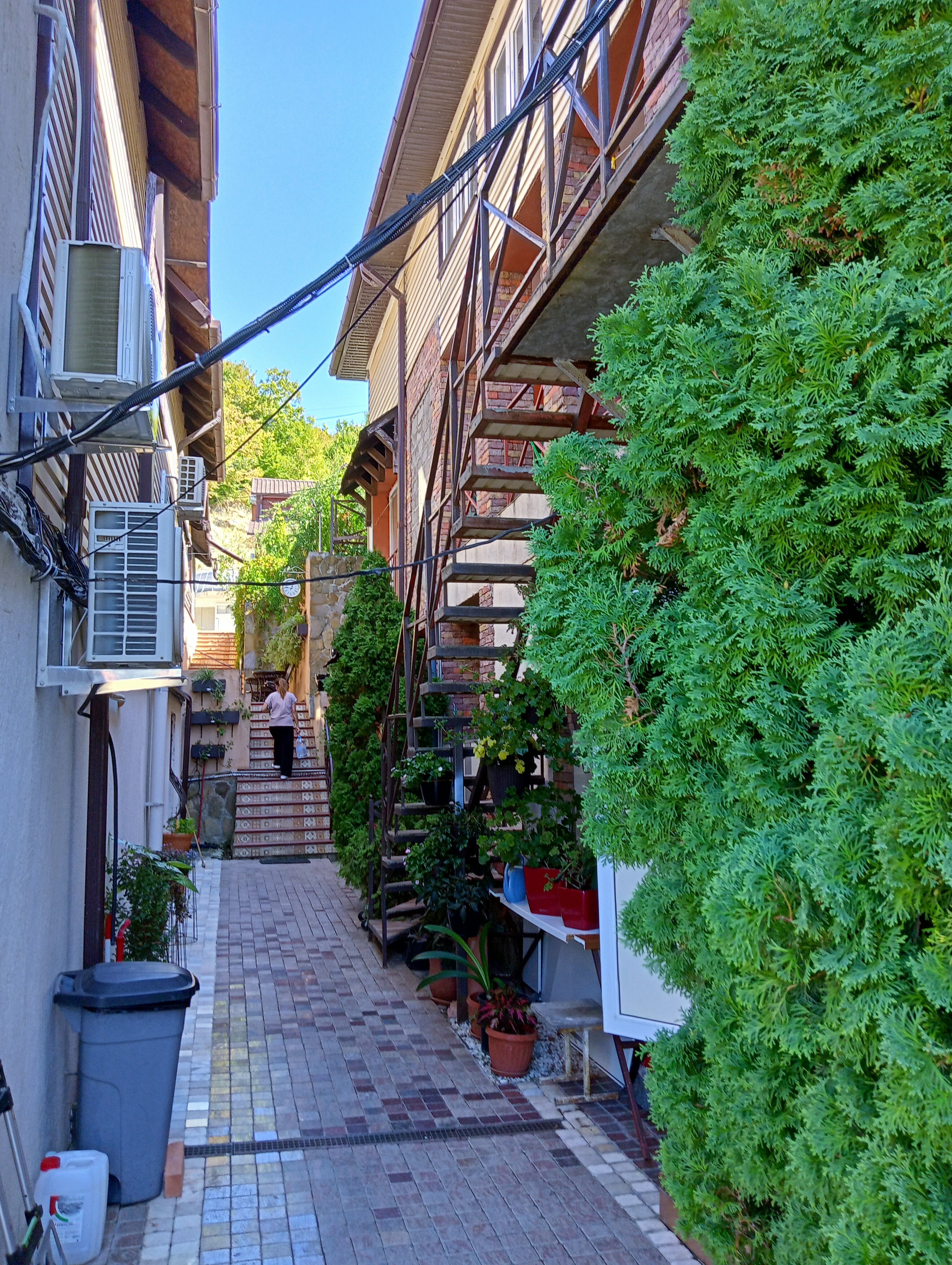 Фото Димерчи