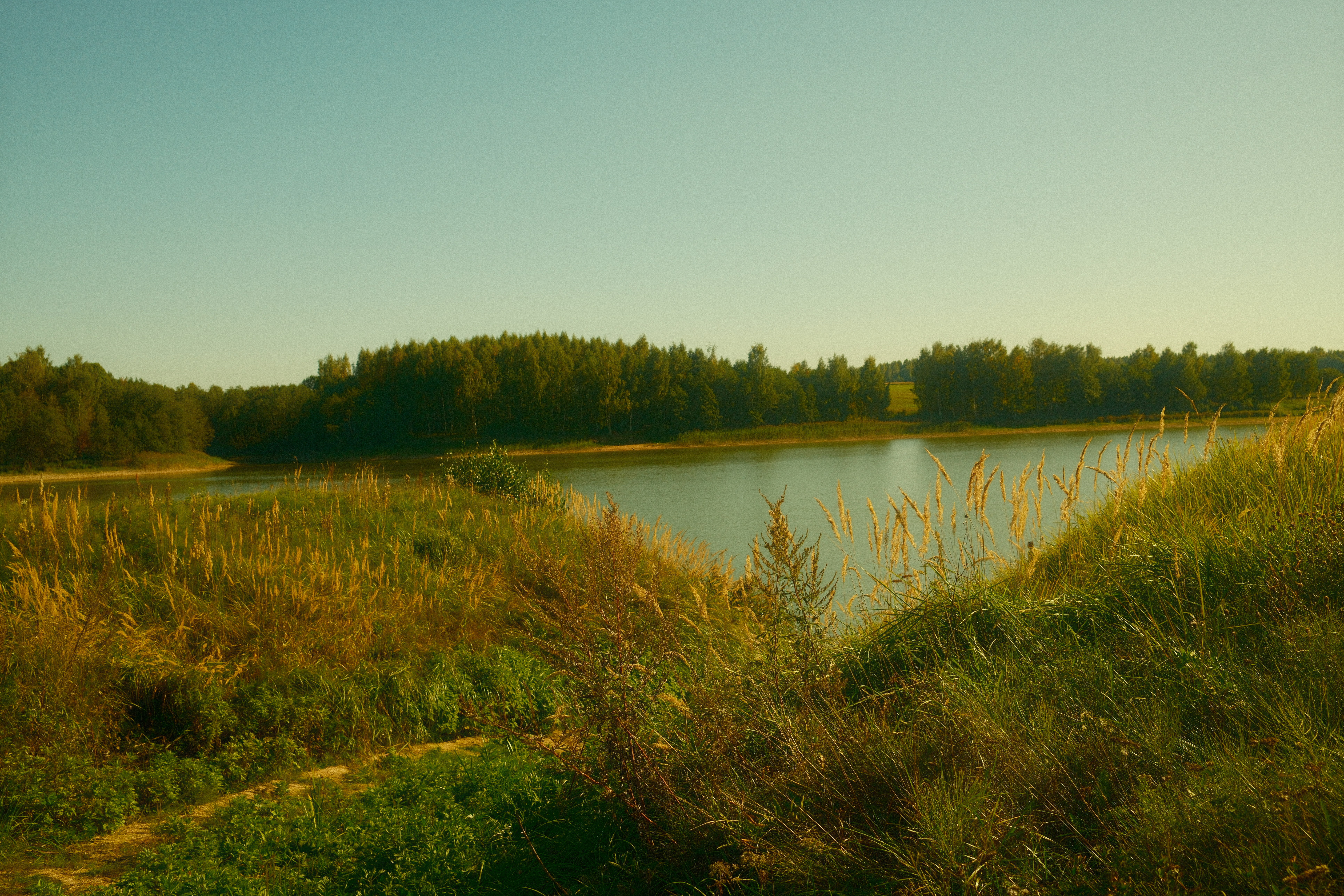 Фото Птички