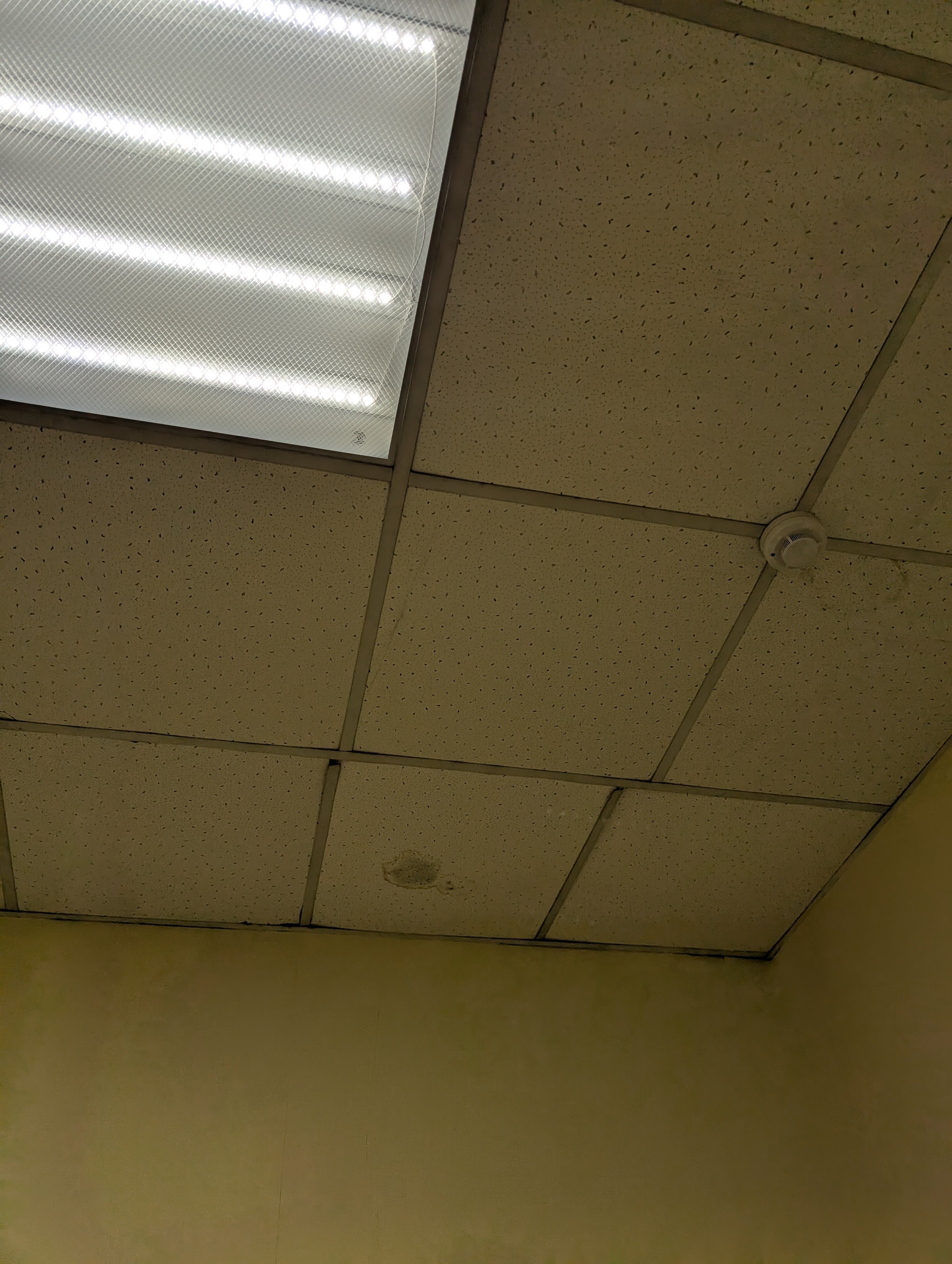 Фото Очарование