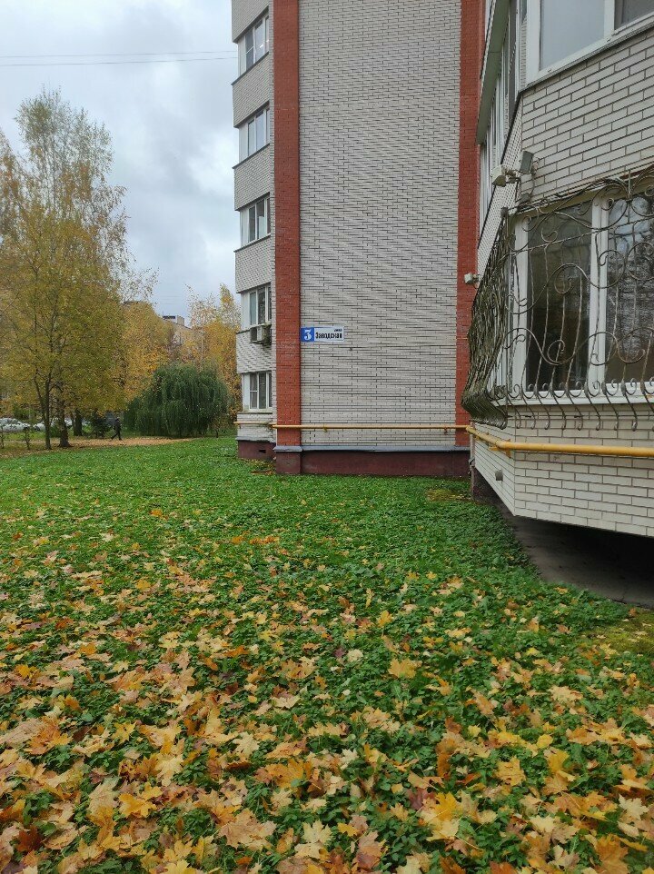 Software companies I-Fayls Sistems, Obninsk, photo