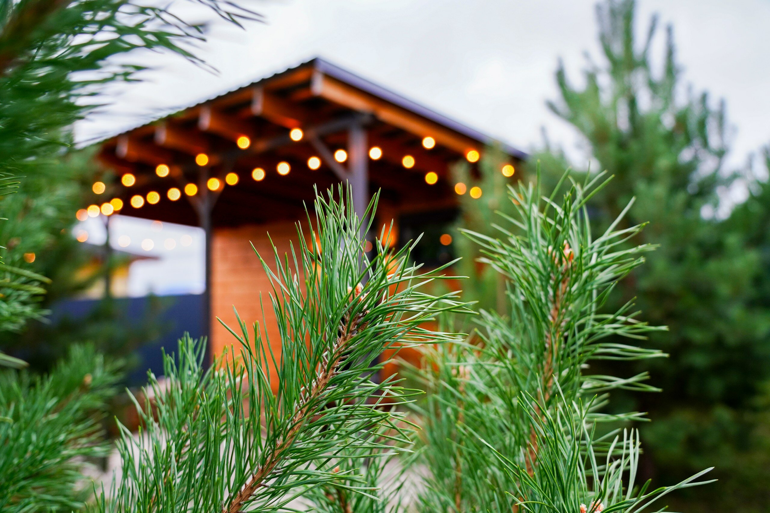 Фото Инлес Хаус