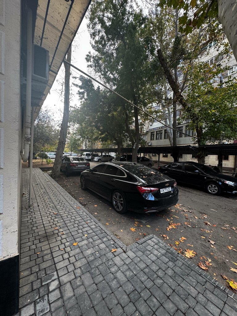 Automatic doors and gates One Technology, Tashkent, photo