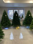Elki_48 (Telmana Street, 21А), christmas trees and christmas decorations