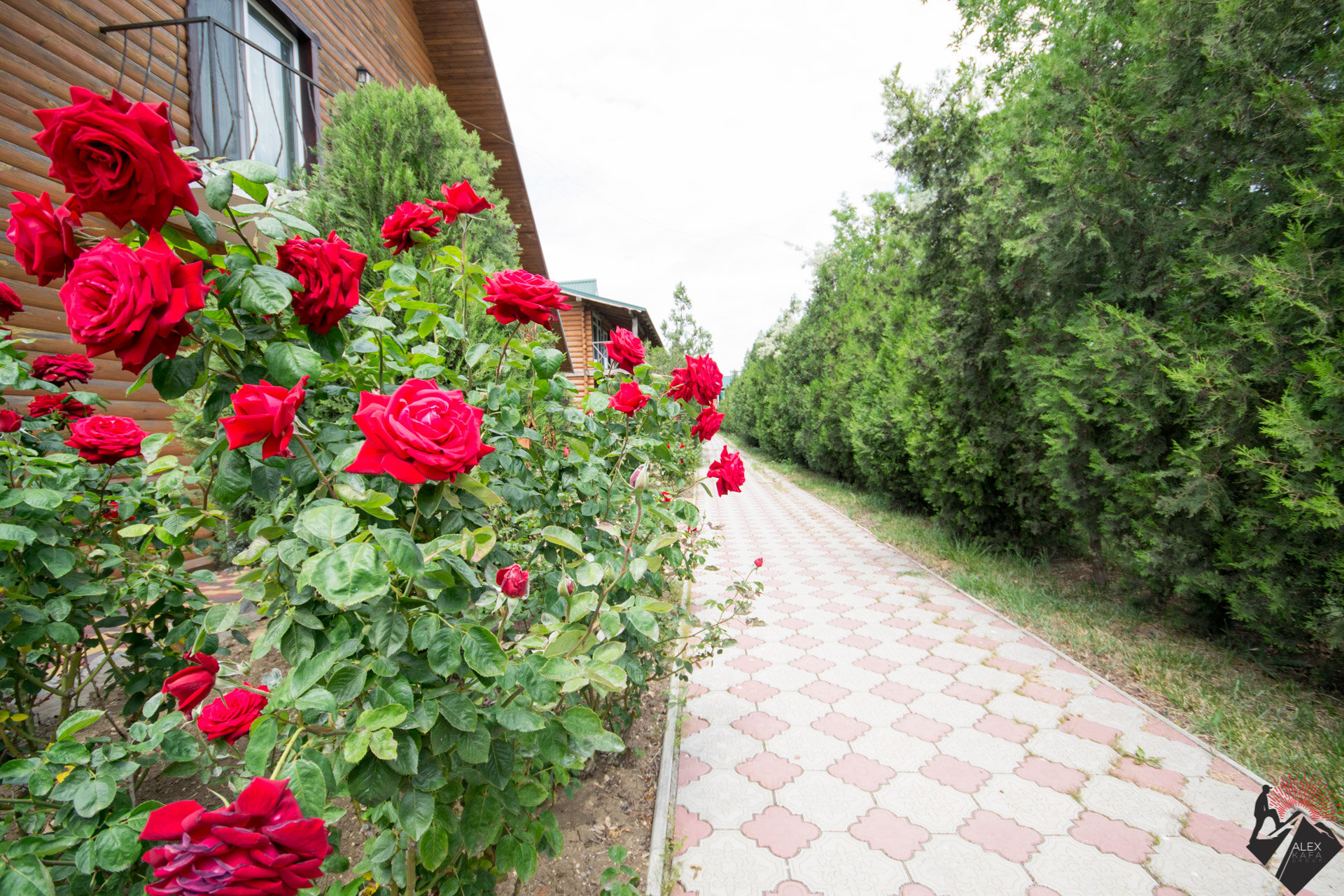 Фото Украина