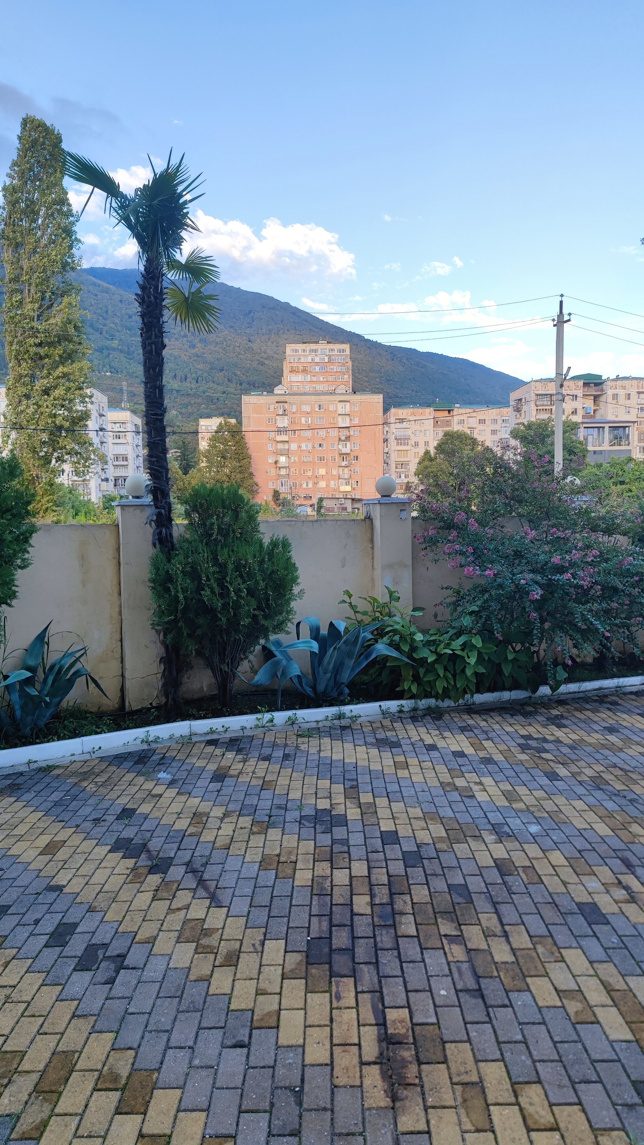 Фото Орхидея