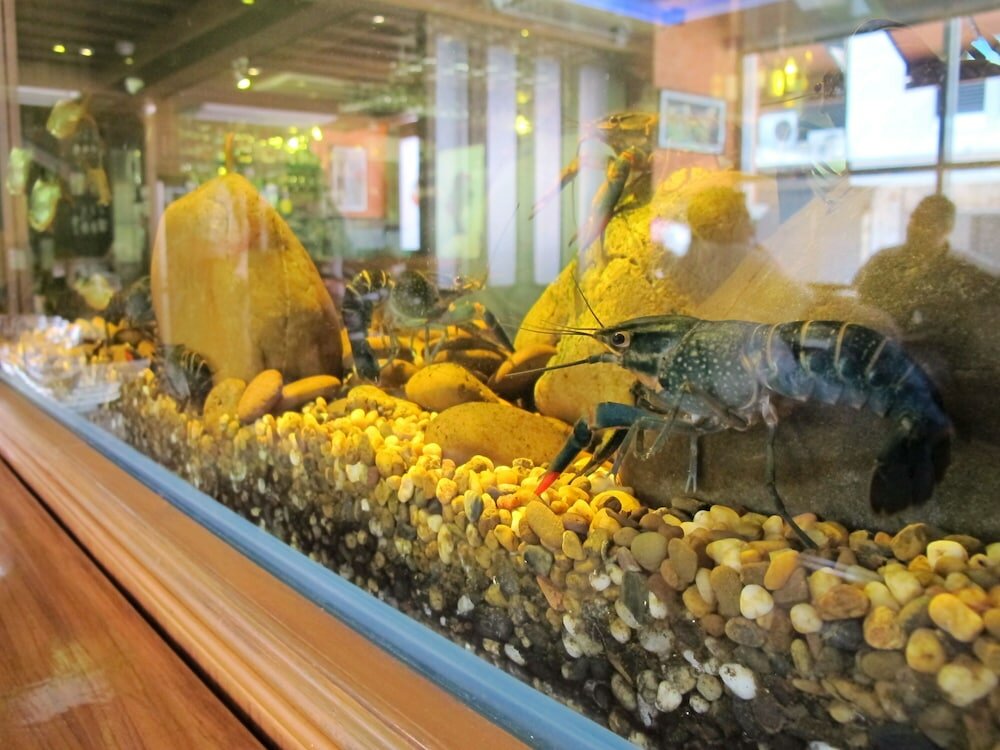 Фото Bourbon St Boutique Hotel